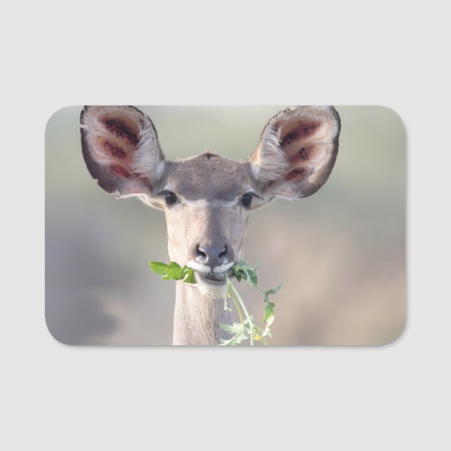 Kudu-Portrait Namensschild (Vorderseite)