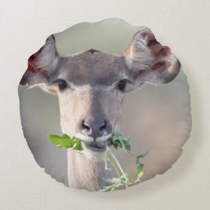 Kudu-Portrait Rundes Kissen