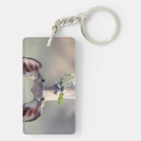 Kudu-Portrait