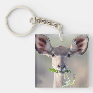Kudu-Portrait Schlüsselanhänger