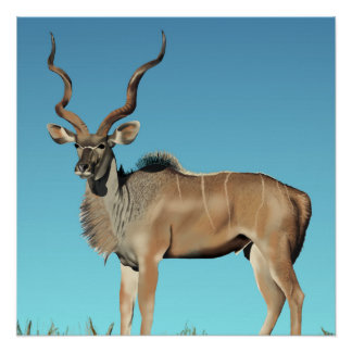 Kudu Poster