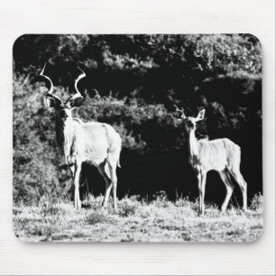 Kudu Stier und Kuh in Schwarzem u. im Weiß - Mousepad
