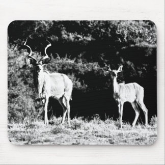Kudu Stier und Kuh in Schwarzem u. im Weiß - Mousepad