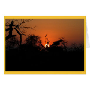 Kudu Sunset