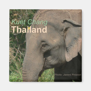 Kuet Chang Thailand Elefant-Kühlschrankmagnete Magnet