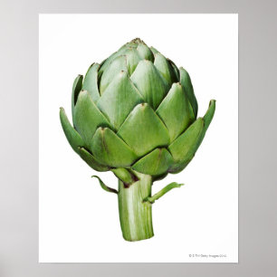 Kugel-Artischocke auf dem weißen Hintergrund Poster