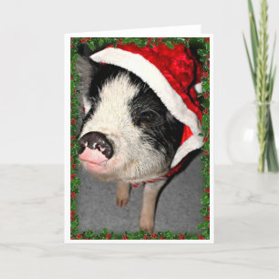 Kugelbauch-Schwein-Weihnachten Feiertagskarte