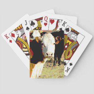 Kuh 13 Spielkarten Original Foto Art Kühe
