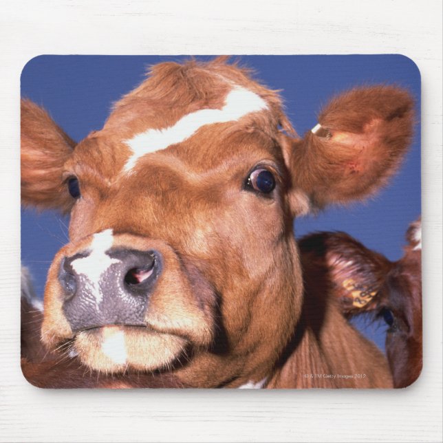 Kuh 2 mousepad (Vorne)
