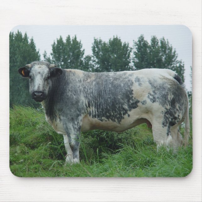 Kuh-belgisches Blau Mousepad (Vorne)