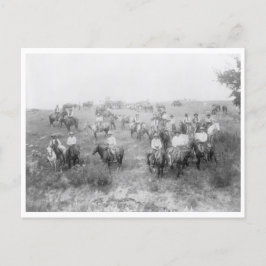 Kuh Boy Mount Postkarte