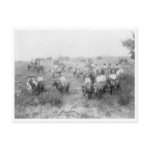 Kuh Boy Mount