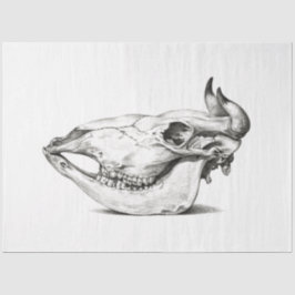 Kuh Bull Skull Side Decoupage Vintag Farm Ranch Seidenpapier