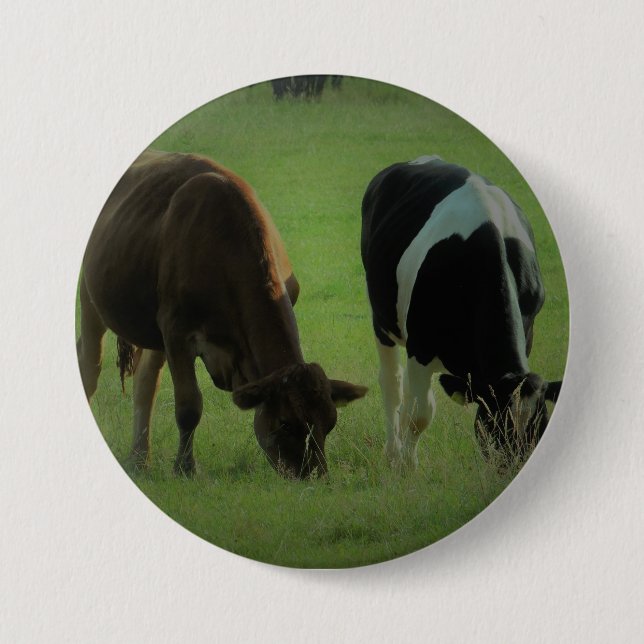 Kuh-Foto-Rund-Abzeichen Button (Vorderseite)