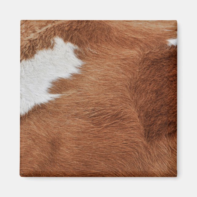 Kuh Fur Magnet (Vorne)