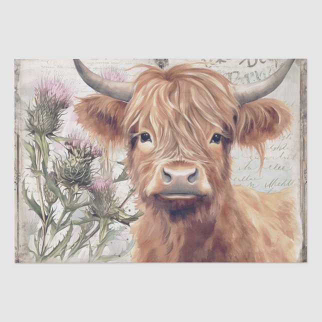 Kuh Highland Scotland Thistle Watercolor Seidenpapier (Vorderseite)