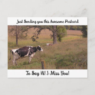 Kuh in einem Feld "I Miss YOU" Sprichwort Hi Postkarte