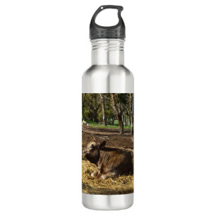 Kuh ist ein Bauernleben, Wasser Flasche Edelstahlflasche