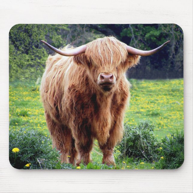 Kuh mit schöner Naturlandschaft der großen Hörner Mousepad (Vorne)
