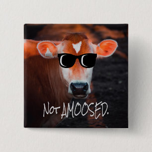 Kuh mit Sonnenbrille nicht amüsiert lustig Button