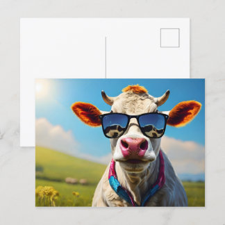 Kuh mit Sonnenbrille Postkarte
