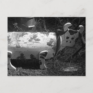 Kuh-Postfach Postkarte