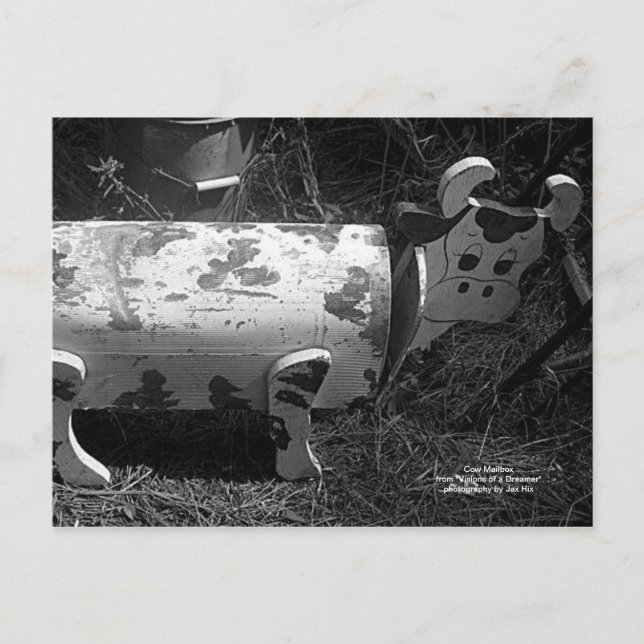 Kuh-Postfach Postkarte (Vorderseite)