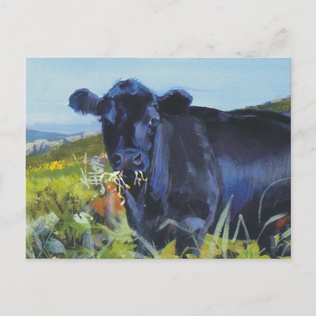 Kuh Postkarte (Vorderseite)