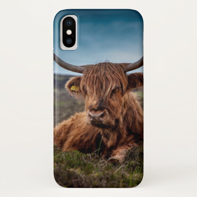 Kuh-Rindfleisch-Schottland-Hochland iPhone Fall Case-Mate iPhone Hülle (Rückseite)