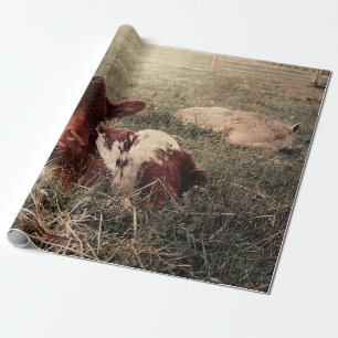Kuh Rustikale Landhaus-Dekupage Geschenkpapier