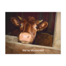 Kuh Rustikale Landhausstall Funny Farm Moving Card