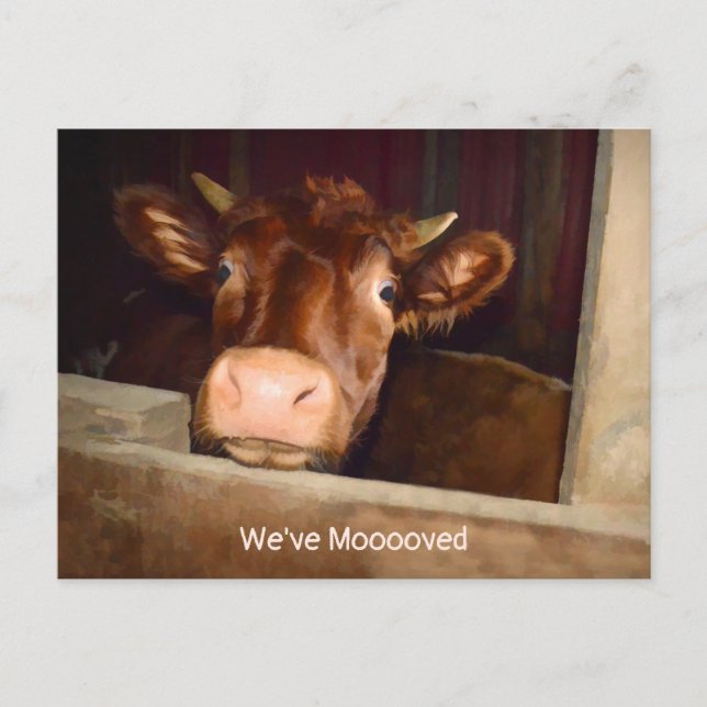 Kuh Rustikale Landhausstall Funny Farm Moving Card Postkarte (Vorderseite)