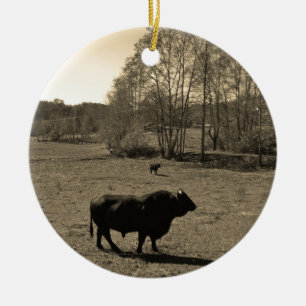 Kuh, schwarzer Stier. Sepia Tone Foto Keramik Ornament
