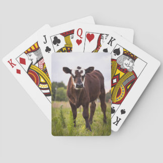 Kuh-Spielkarten Spielkarten