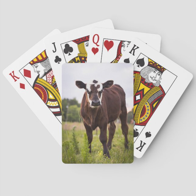 Kuh-Spielkarten Spielkarten (Rückseite)