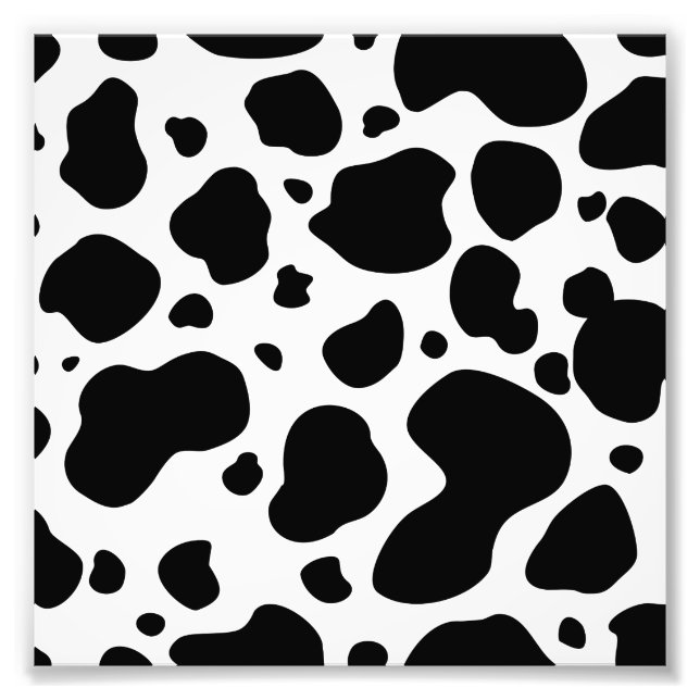 Kuh-Spots Muster Schwarz-Weiß-Tierdruck Fotodruck (Vorne)