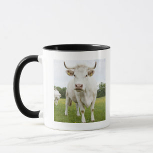 Kuh stehend auf dem grasartigen Gebiet Tasse
