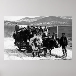Kuh-Team, das Männer in einem Lastwagen zieht Poster