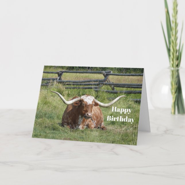 Kuh Texas Longhorn Foto Geburtstag Karte (Vorderseite)