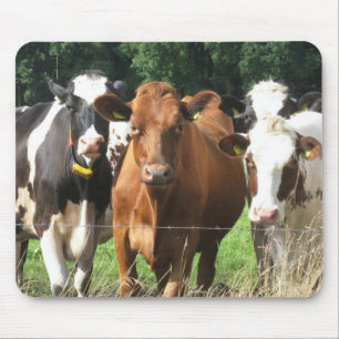 Kuh-themenorientierte Geschenke: Für immer Freund Mousepad