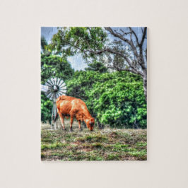 KUH U. WINDMÜHLE LÄNDLICHES QUEENSLAND AUSTRALIEN