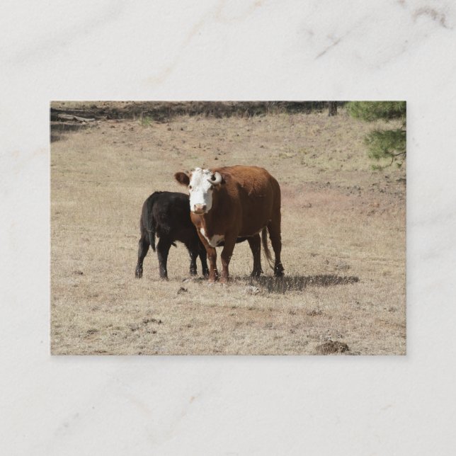 Kuh- und Baby-Visitenkarten Visitenkarte (Vorderseite)