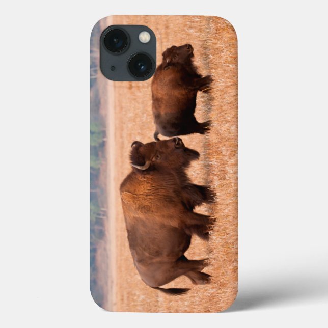 Kuh und Kalb (Bison Bison) Case-Mate iPhone Hülle (Rückseite)