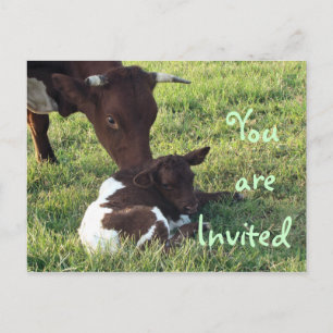 Kuh und Kalb Postkarte/Einladung anpassen Einladungspostkarte