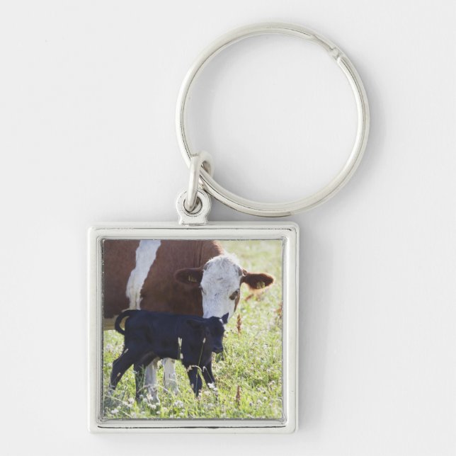 Kuh und Kalb Schlüsselanhänger (Vorne)
