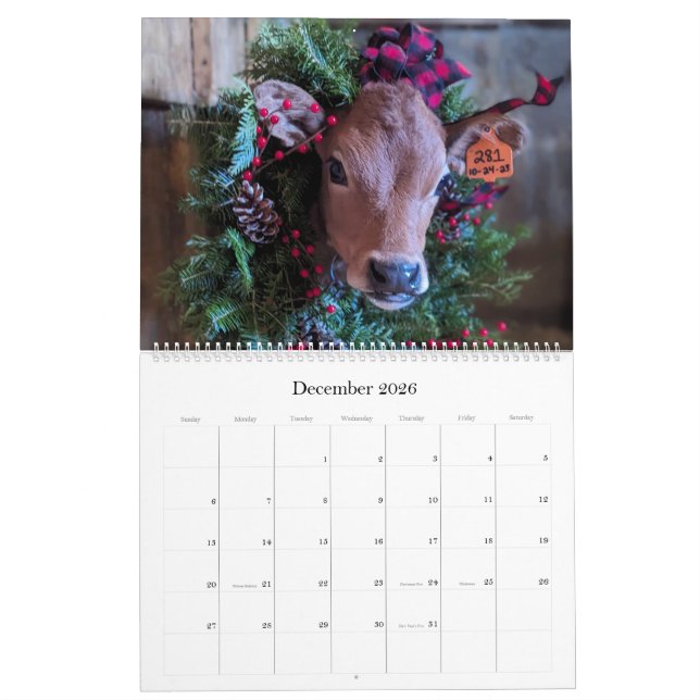 Kuh- und Kalbskalender aus Chase's Bio Milchkalend Kalender (Dez 2026)