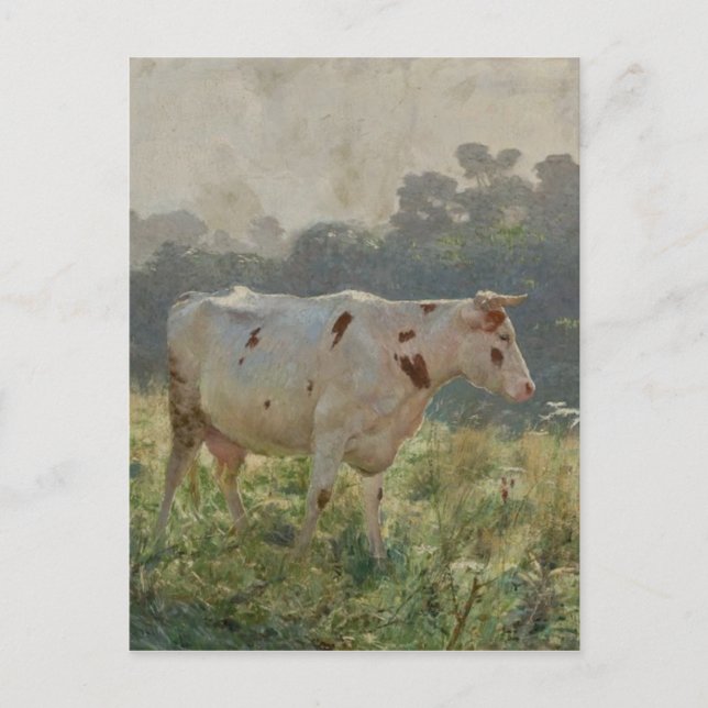 Kuh von Emile Claus Postkarte (Vorderseite)