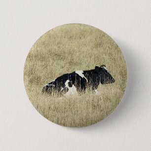 Kuh wiederherstellen - Schaltfläche Button