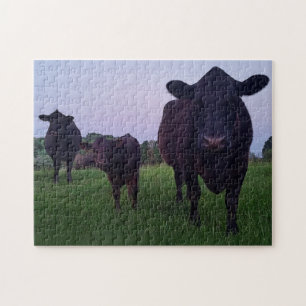 Kuh Yup Kuh! Puzzle