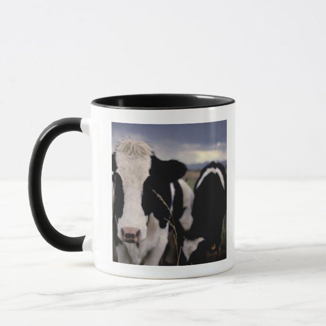 Kühe 3 tasse (Links)
